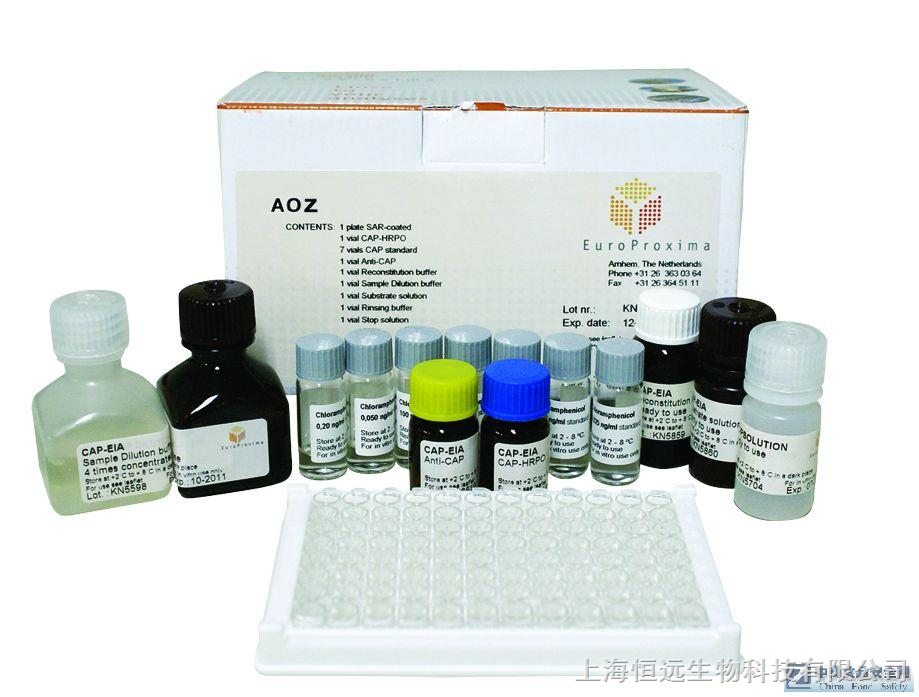 人绒毛膜促性腺激素(HCG)ELISA试剂盒