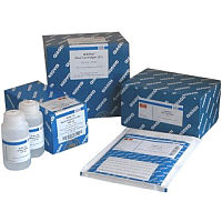 人妊娠疱疹抗体(HG)ELISA Kit