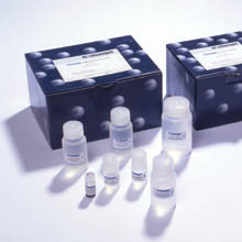 人血小板膜糖蛋白ⅡbⅢa(GP-ⅡbⅢa/CD41+CD61)ELISA试剂盒