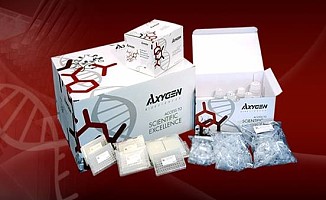 人软骨糖蛋白39(HC gp-39)ELISA试剂盒