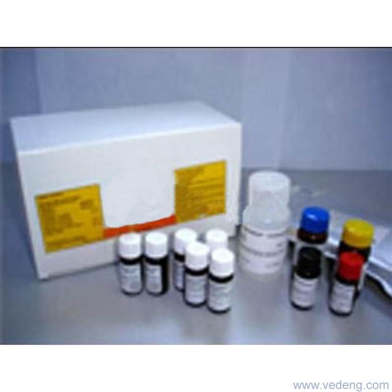 人尿素酶相关蛋白C(UreC)ELISA试剂盒