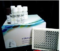 小鼠凝血因子Ⅸ(FⅨ)ELISA试剂盒