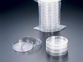 一次性培养皿90mm,塑料培养皿,一次性塑料平皿500套/箱,灭菌