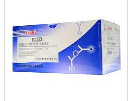 大鼠白介素13(IL-13)ELISA试剂盒