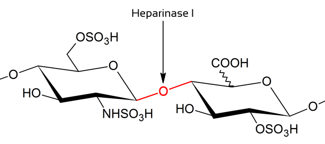 肝素酶I，来自于肝素黄杆菌，现货