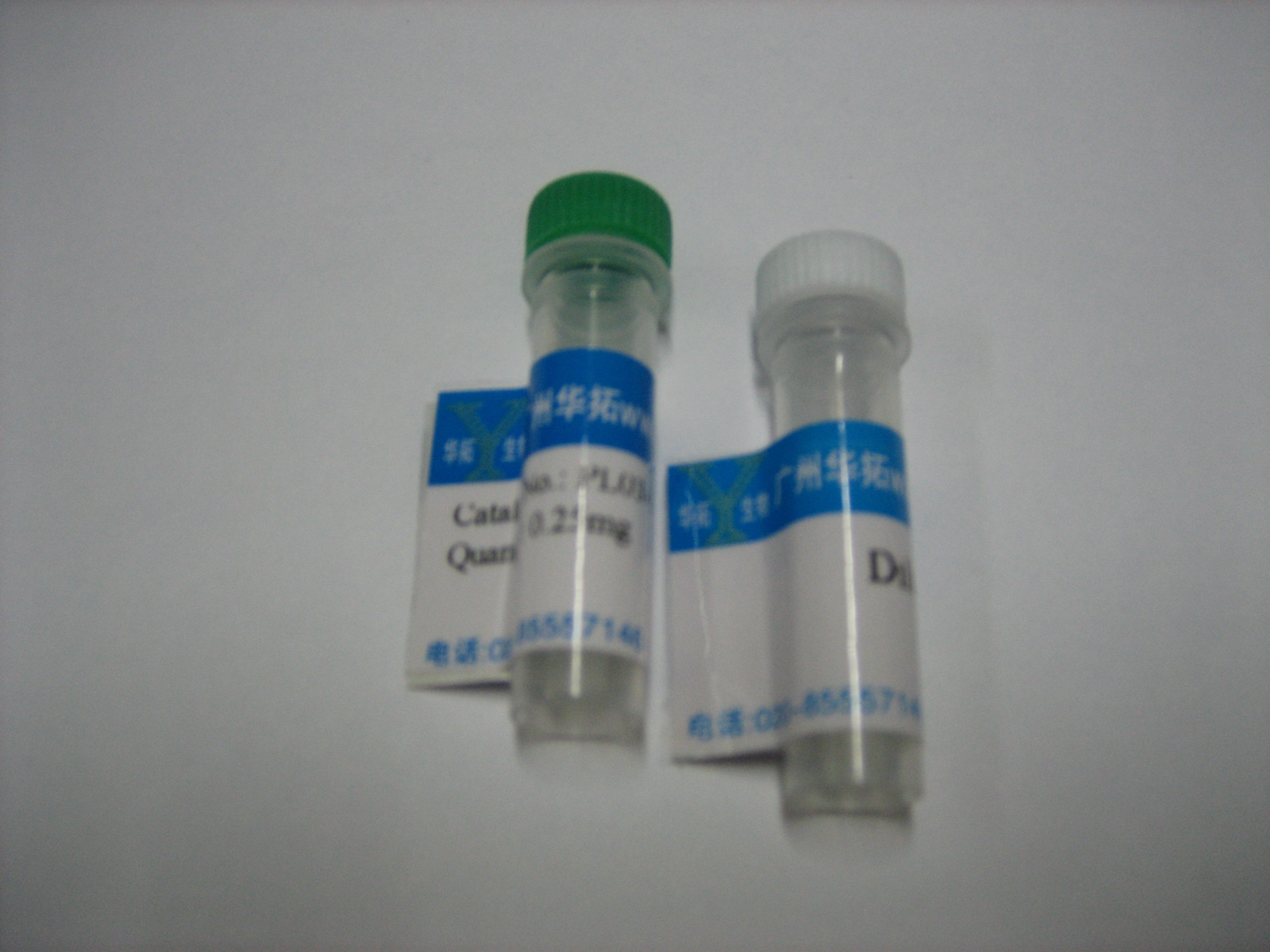 二抗-生物素标记抗体