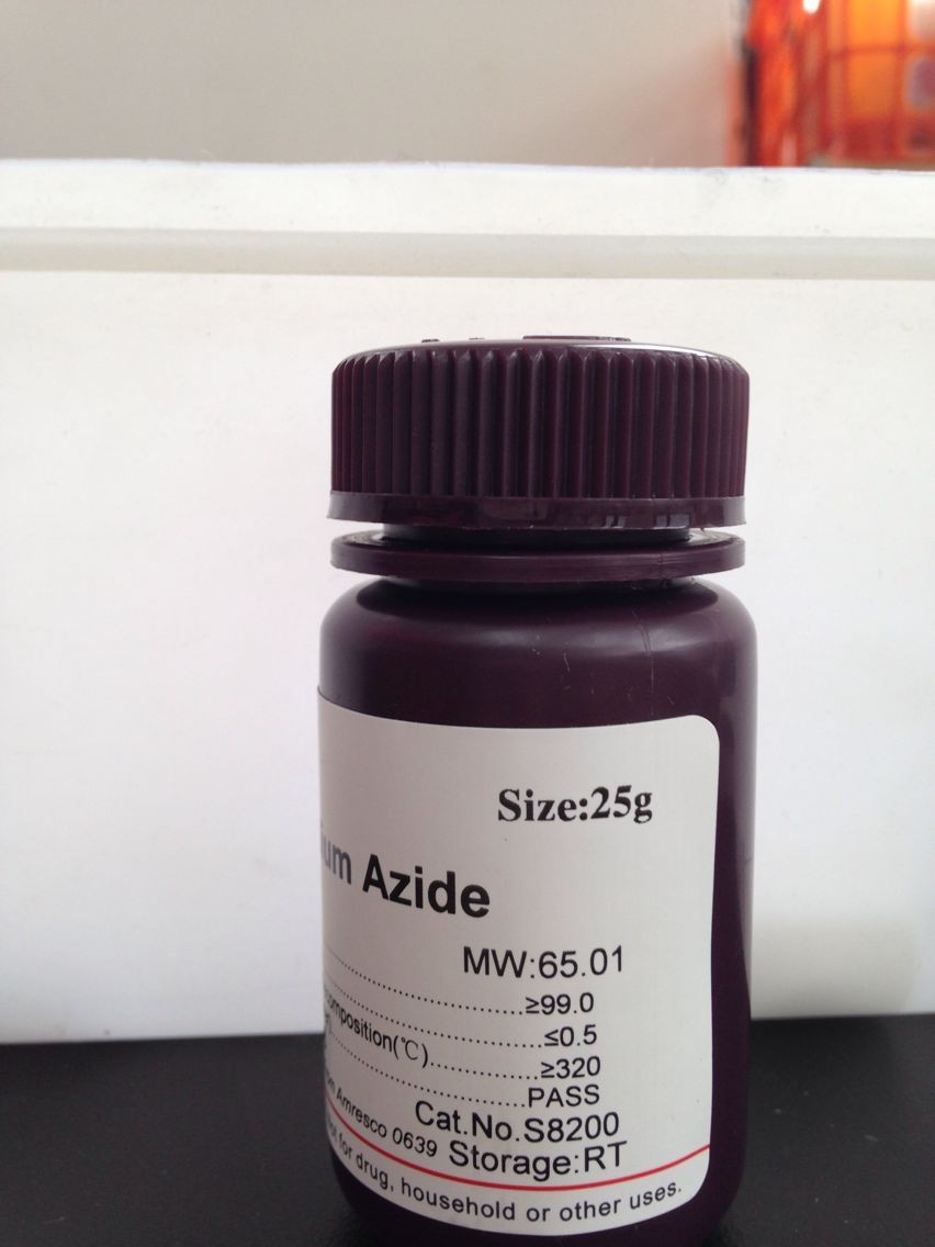 ECL Plus超敏发光液 A液和B液各12.5ml