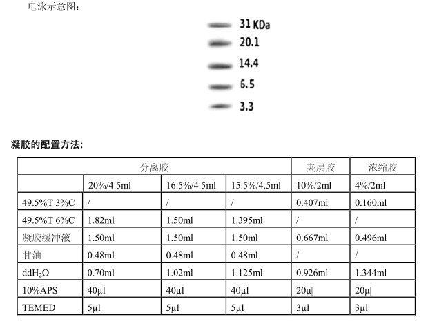预染超低分子量蛋白质Marker （3.3kD-31.0kD)