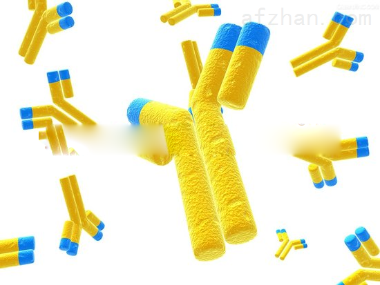 还原型辅酶Ⅱ四钠