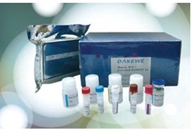 牛血管生长素(ANG)检测试剂盒 