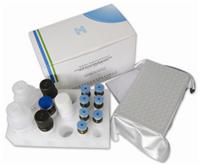 人过氧化还原酶4(PRDX4)检测试剂盒 