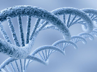 基因合成技术服务（威斯腾生物-中关村生物医学研发检测共享平台！）