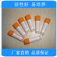 副溶血性弧菌[ATCC17802](原装进口) 南京便诊优质标准菌株供应商