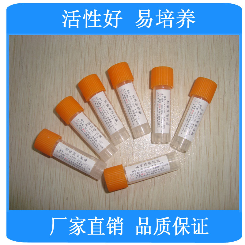 铜绿假单胞杆菌[ATCC9027](原装进口) 南京便诊优质标准菌株供应