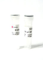 兔抗猴IgG(纯化)