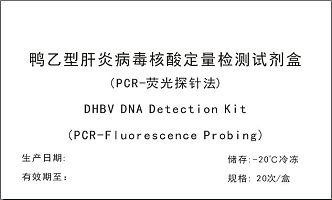 鸭乙型肝炎病毒核酸定量检测试剂盒（PCR-荧光探针法）