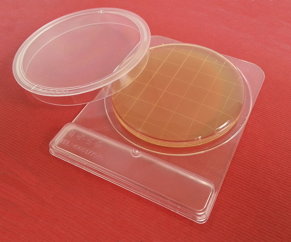 表面接触皿（TSA)