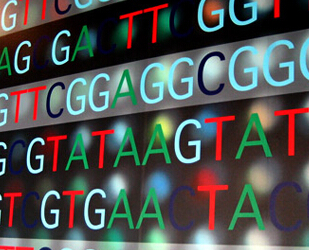 基因测序技术服务（威斯腾生物-中关村生物医学研发检测共享平台！）