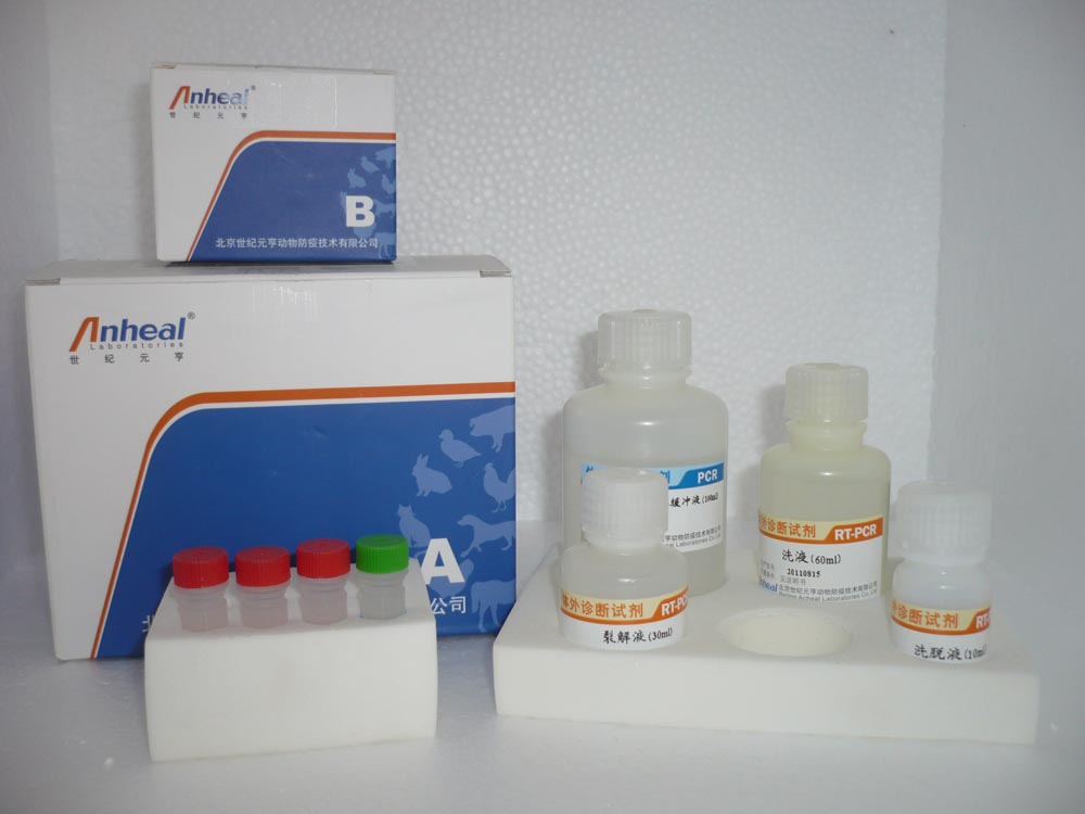 牛白介素12A(IL12A)ELISA试剂盒 
