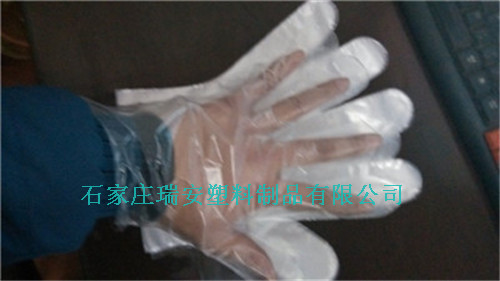 实验室专用一次性薄膜检查手套