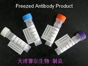 天津赛尔生物  抗体列表