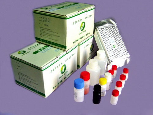 小鼠脑红蛋白(NGB)ELISA试剂盒 产品图