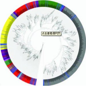 细菌/真菌16S rDNA/ ITS(tel:057188208345)