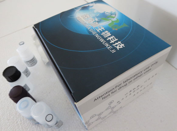 Human HCV-Ag ELISA试剂盒