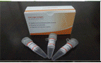 β-半乳糖苷酶ONPG定量检测试剂盒