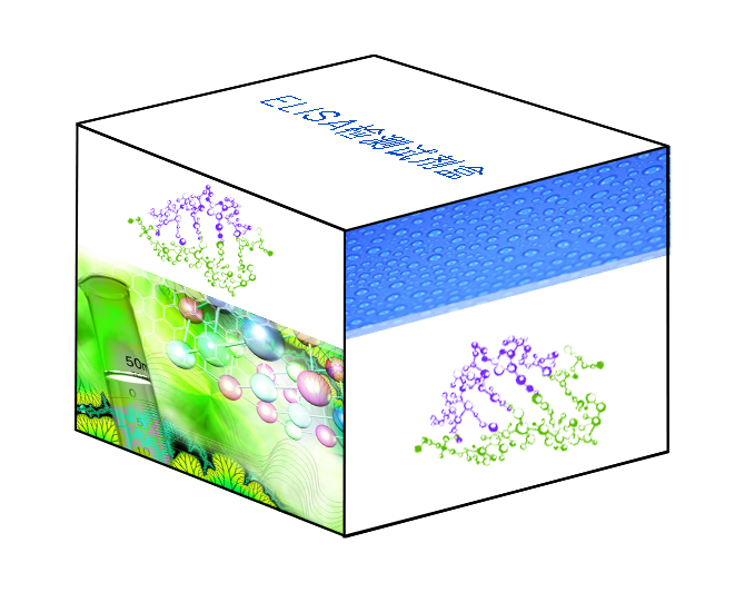 Human Flt-3L ELISA Kit