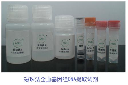 口腔拭子基因组DNA提取试剂盒