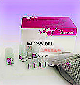 兔子(GFAP)ELISA kit