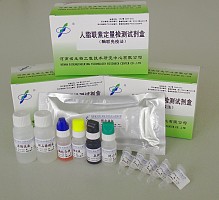 国产脂联素检测试剂盒
