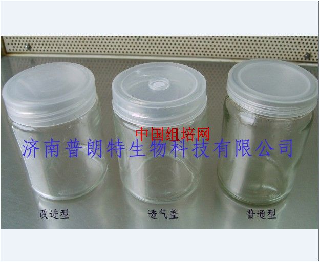 高白组培专用培养瓶 PLT-250