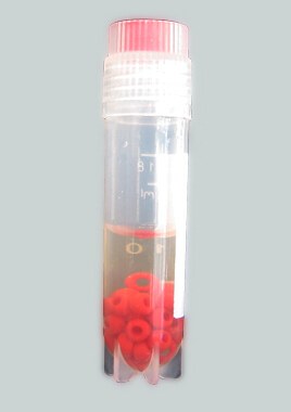 友康MS0101瓷珠菌种保存管（81支/盒）