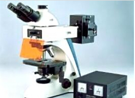 BK-FL2双目荧光显微镜