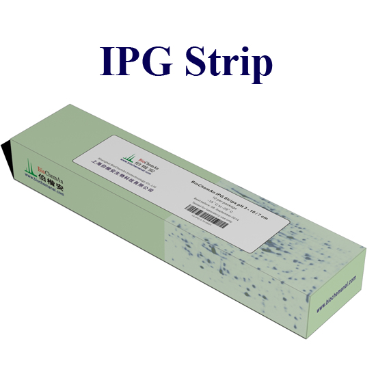 PH4-9,7cm-高速高分辨IEF IPG胶条