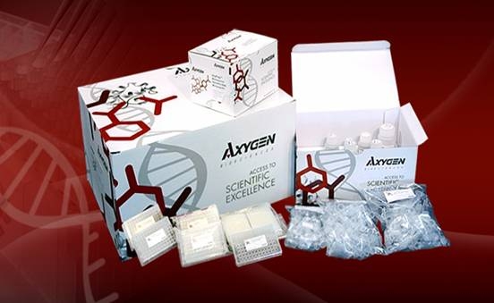 mRNA 提取试剂盒 产品图