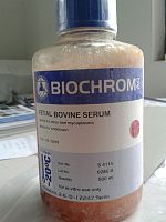 Biochrom澳洲特级胎牛血清