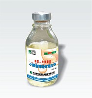 酸性神经酰胺酶1抗体