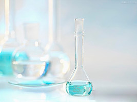 钙激活钾通道蛋白 α 1抗体