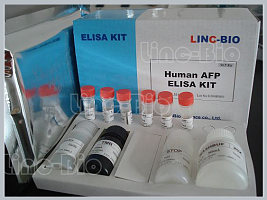 磷酸化丁酸盐反应因子1抗体