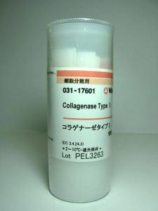 胶原酶Collagenase