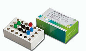 人CYP2C19基因分型检测试剂盒（荧光PCR法）