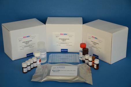 人17-酮类固醇(17-KS)Elisa试剂盒