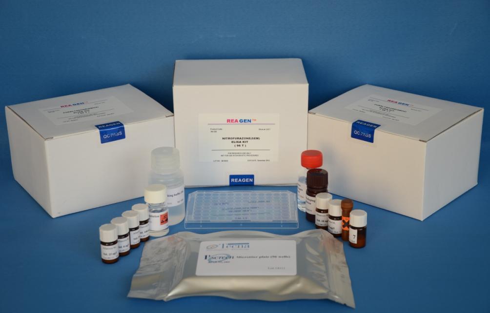 人抗丙型肝炎病毒抗体(anti-HCV)ELISA 试剂盒