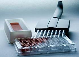 人垂体腺苷酸环化酶激活肽(PACAP)ELISA 试剂盒