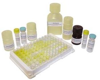 （进口分装）小鼠抗小核糖核蛋白/Sm抗体(snRNP/Sm)ELISA试剂盒