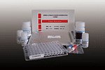 猪口蹄疫病毒（A型）抗体检测试剂盒