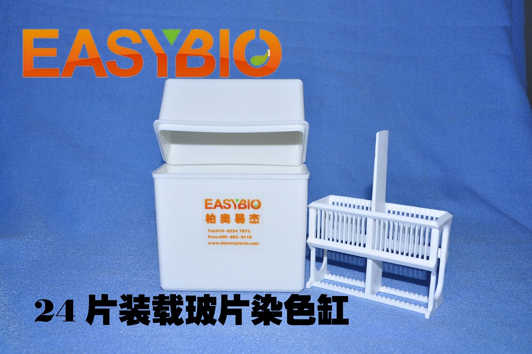 24片装塑料载玻片染色缸